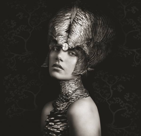 Photograph Lee Howell Beaute Aviare 4 on One Eyeland